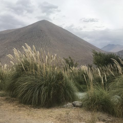 7B9D46CC-65DD-4870-9048-803AEEC0C785