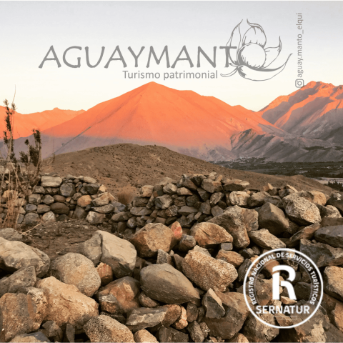 Diseño sin título (8) (1)