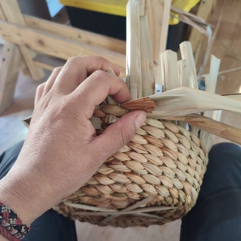 WhatsApp Image 2026-04-12 at 15.57.48